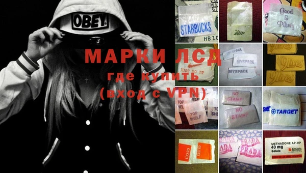 марки nbome Дмитриев