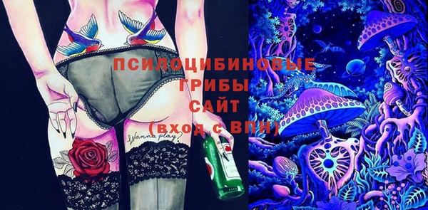 прущие крисы Дмитров