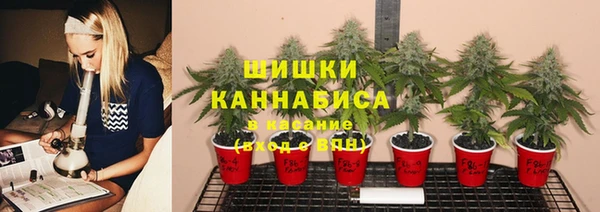 прущие крисы Дмитров