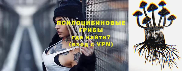 марки nbome Дмитриев
